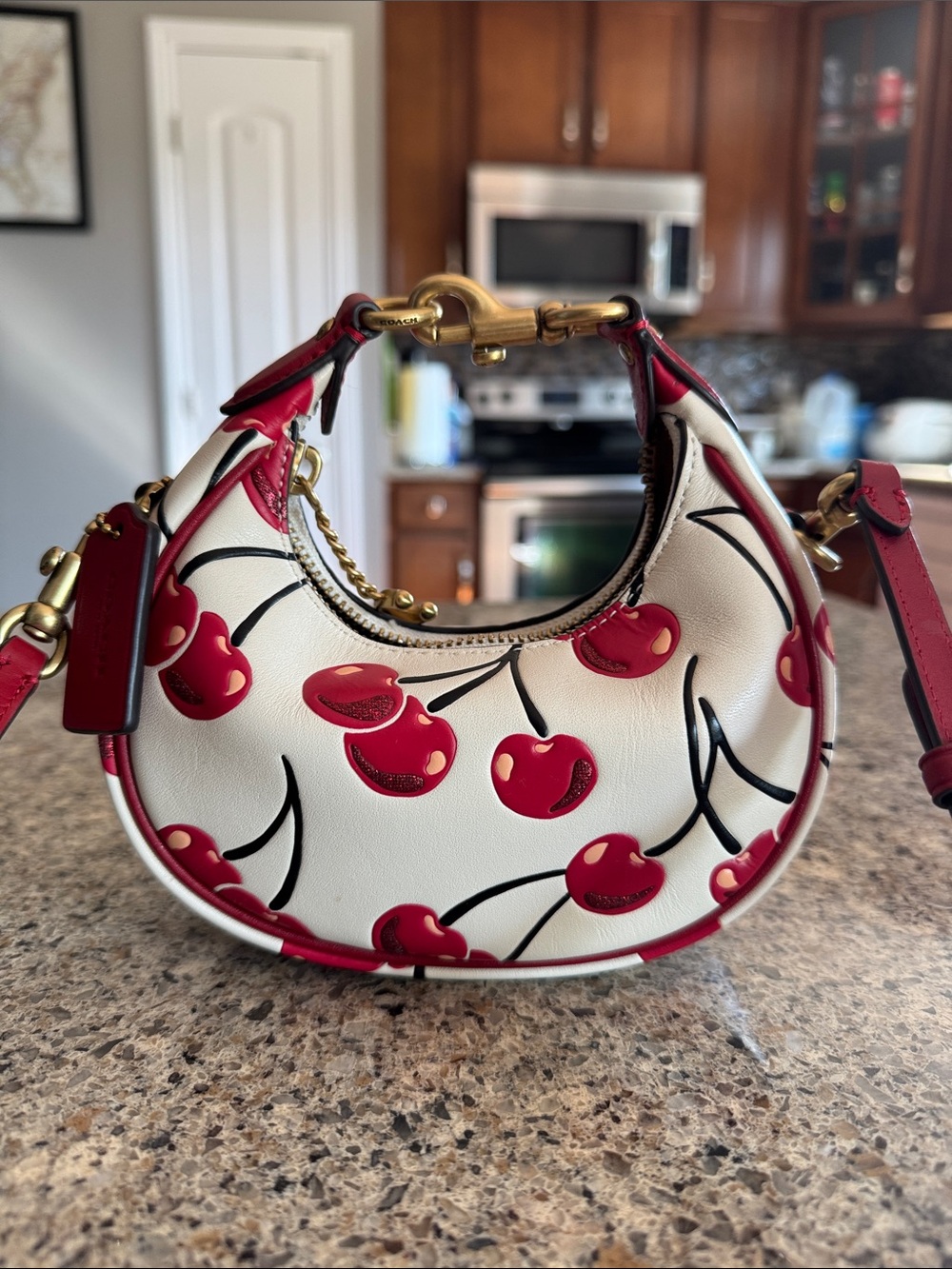 🍒Supper cute Coach🍒  GAE83 Mini Hobo Bag in White with Red Cherry Print NWOT!🍒